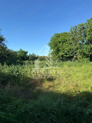 Casă de cărămidă în Sustra ,Topolovatul Mare cu teren de 1522 mp. - imagine 14