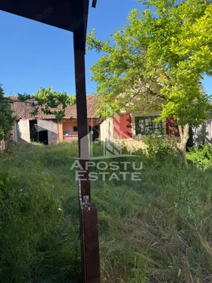 Casă de cărămidă în Sustra ,Topolovatul Mare cu teren de 1522 mp. - imagine 15