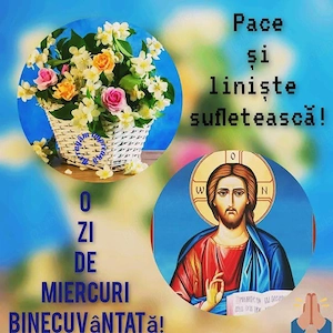 Îngrijire bătrâni în Ploiesti,
