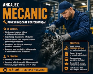 Mecanic Mentenanta - Acatari, judet Mures