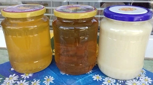 Miere de vânzare salcâm, poliflora și rapiță 