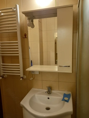 Vanzare apart 2 camere Ozana, Trapezului - imagine 6