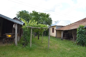 Gospodarie traditionala cu teren generos si 3 case in Clipicesti, aproape de Focsani  - imagine 5