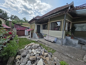 Vand casa Pestisul Mare Hunedoara