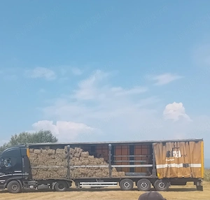 Baloti lucerna si baloti fan
