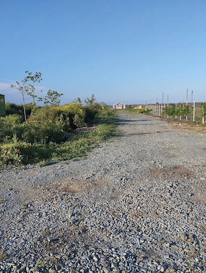  Gradina 355 mp Poiana basmelor  - imagine 6