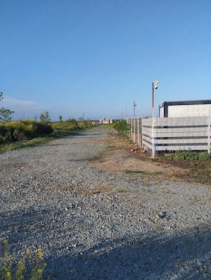  Gradina 355 mp Poiana basmelor  - imagine 5