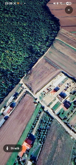 Teren 5200 mp Poiana lui Stânga, Str. Teiului, la pădure   Termen lung   Drept de construire - imagine 3