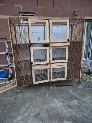 disponibile boxe iepuri 6 incaperi - imagine 5