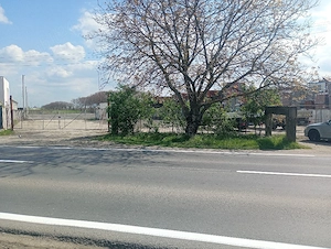 Inchiriez teren Timisoara Freidorf - imagine 5