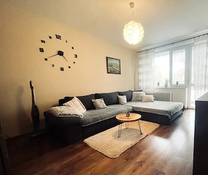 Apartamnet 2 camere de inchiriat zona Coresi - imagine 2
