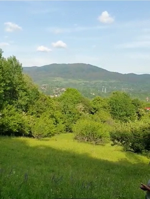 teren 1650mp Comarnic Prahova vedere spre munti proprietar - imagine 2