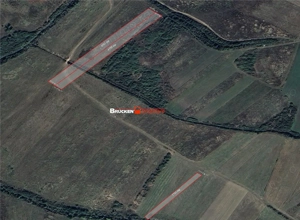 Teren arabil de vanzare – 2,34 ha (23.400 mp) – Husasau de Tinca-BH - imagine 3