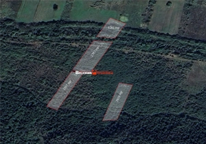 Teren arabil de vanzare – 2,34 ha (23.400 mp) – Husasau de Tinca-BH - imagine 4