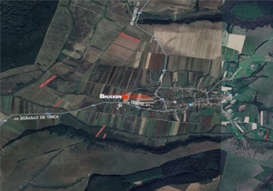 Teren arabil de vanzare – 2,34 ha (23.400 mp) – Husasau de Tinca-BH - imagine 7