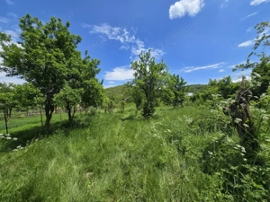 Casă Stroești, teren = 3450 mp - imagine 11