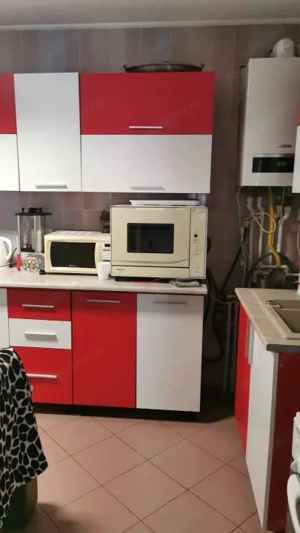 Apartament în vilă Prelungirea Craiovei, curte, terasă - imagine 7