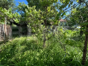 Casa individuala Dambu Rotund, 648mp teren - imagine 4