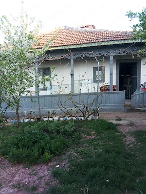 Vând casă bătrânească + teren generos 1575 mp | Malul Roșu, comuna Armășești, jud. Ialomița - imagine 2