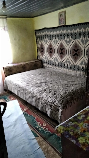 Vând casă bătrânească + teren generos 1575 mp | Malul Roșu, comuna Armășești, jud. Ialomița - imagine 3