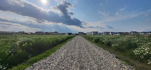 teren intravilan, 450 mp, Comuna Berceni, strada Plopilor - imagine 4