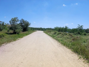 Vând loturi teren intravilan zona pădure Cornetu  1100m-2200mpp - imagine 6