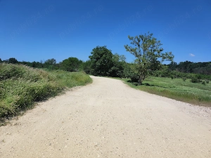 Vând loturi teren intravilan zona pădure Cornetu  1100m-2200mpp - imagine 4