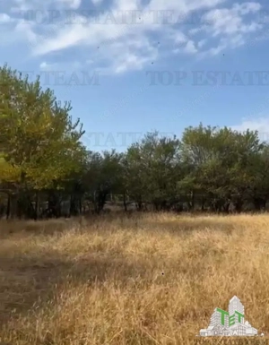 Teren intravilan multifunctiunal de inchiriat, ORICE ACTIVITATE!!