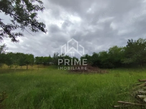 Teren intravilan de 1.900 mp, zona Oarda de Sus - imagine 2