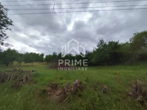 Teren intravilan de 1.900 mp, zona Oarda de Sus - imagine 3