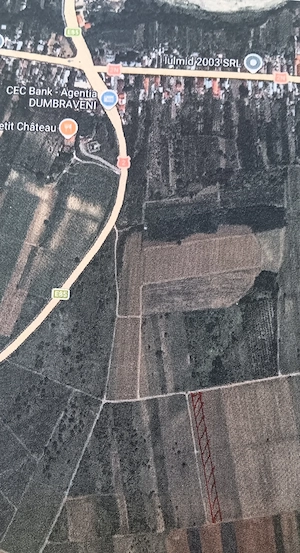 Vand teren cu vita de vie, in suprafata de 9265 mp  situat in comuna Dumbraveni, jud. Vrancea. - imagine 2