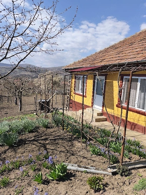 casa sat Izvoru Dulce Buzau - imagine 3