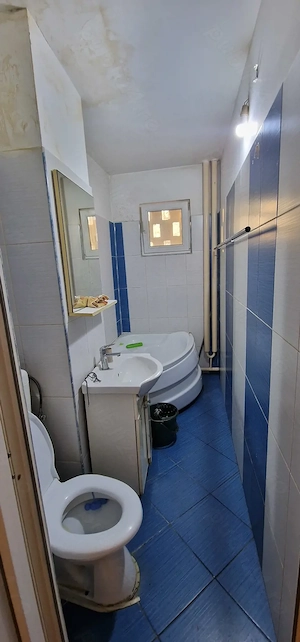 Vest, 2 camere, parter, 41500 euro - imagine 13