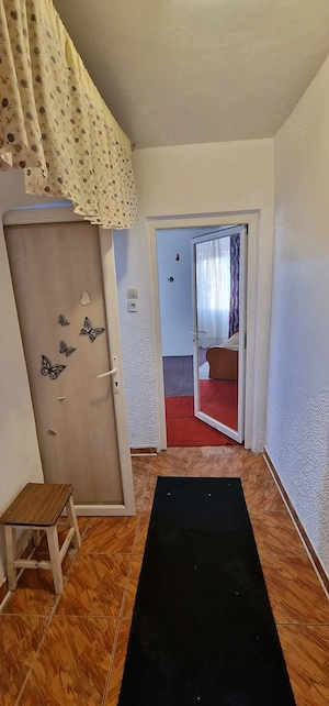 Vest, 2 camere, parter, 41500 euro - imagine 5