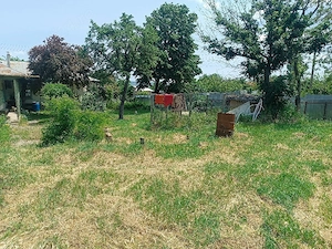 Casa bătrânească si teren generos - imagine 10