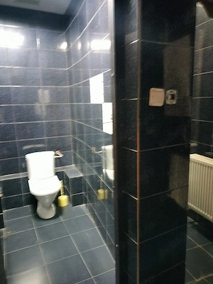 Inchiriez spatiu comercial pe strada Mihai Eminescu (Republicii) - imagine 8