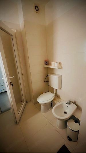 Apartament in regim hotelier Ared - imagine 3