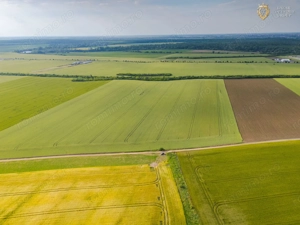 Teren Extravilan Arad de vanzare