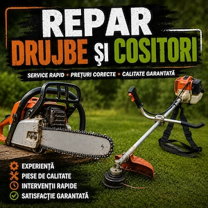 Reparatii Drujbe si cositori