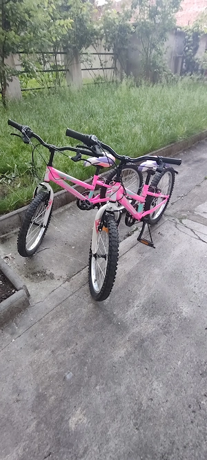 Biciclete Calypso 20'' fete 6-10 ani