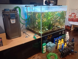 Vând acvariu 250 litri din sticla ultraclara si accesorii - imagine 4