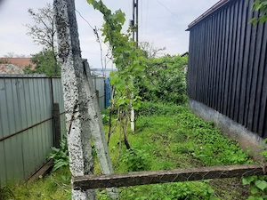 Teren intravilan 2.651 m  în Focuri, Iași - casă veche (1968) pe proprietate - imagine 4