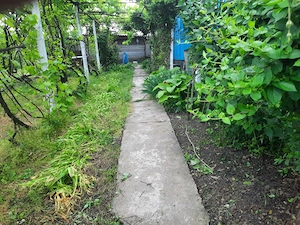 Teren intravilan 2.651 m  în Focuri, Iași - casă veche (1968) pe proprietate