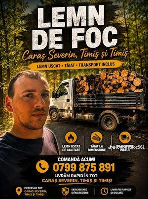 Aducem lemn de foc in Caras Severin si Timis