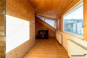 Proprietate ampla, Central,  Brasov: rezidential  investitional  servicii - imagine 16