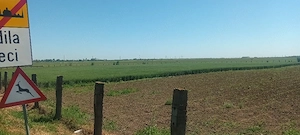 vand teren extravilan 1ha si 66 arii