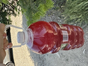 Vin de casă de vânzare  