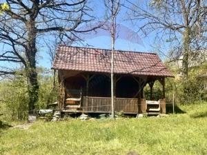 Casa traditionala,teren 6.039 mp DESESTI Maramures - imagine 9