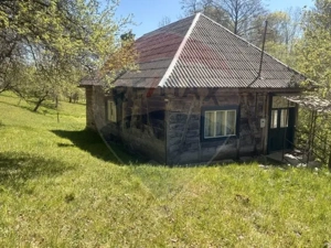 Casa traditionala,teren 6.039 mp DESESTI Maramures - imagine 3