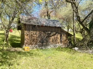Casa traditionala,teren 6.039 mp DESESTI Maramures - imagine 10